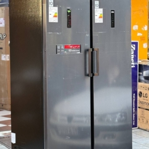 یخچال فریزر دوقلو الجی رنگ دودی